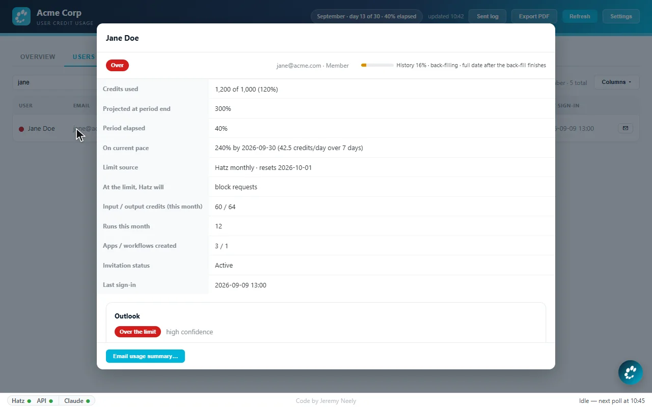 The tenant overview, then the users table filtered to one person and their credit detail (sample data), a frame from the demo clip (sample data).